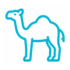 camel Icon