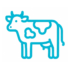 cow icon