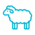 sheep Icon